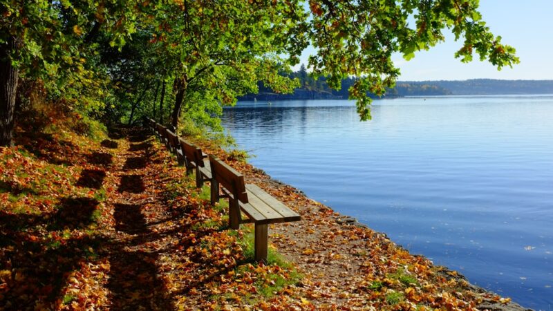 Oplev Naturens Skønhed på Camping Ebeltoft