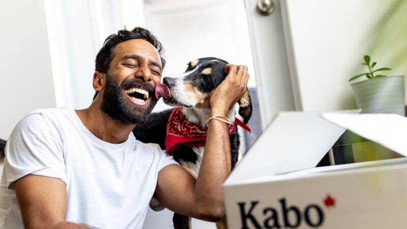 Find det bedste hundefoder til din firbenede ven